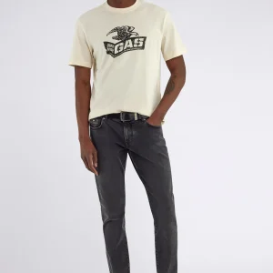 DHARIS "HERITAGE L." 1298