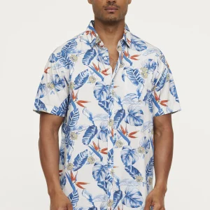 Chemise DARIZO Blue Grey