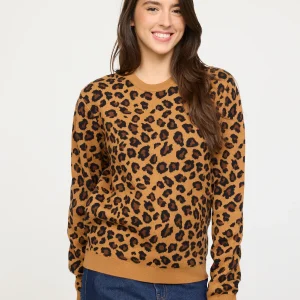 Pull Cleopar Camel