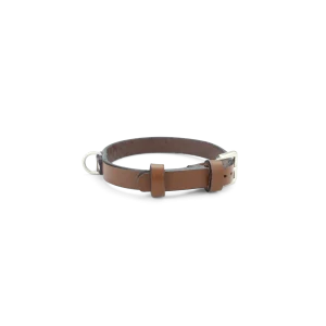 Collier Chien Slim