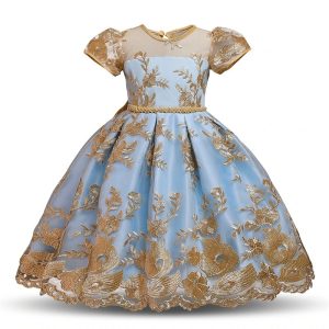 Robe Princesse Vintage Dorée