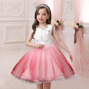 Robe de Princesse Fille Rose et Blanche