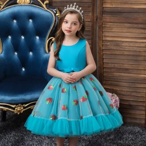 Robe Princesse Fraises Hivernales